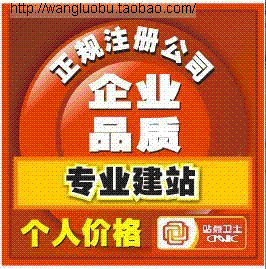 網(wǎng)站建設(shè)及維護(hù)服務(wù) 打造您的優(yōu)質(zhì)在線門(mén)面