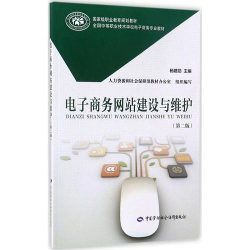 電子商務(wù)網(wǎng)站建設(shè)與維護（第二版） 全面解析網(wǎng)站建設(shè)及維護服務(wù)