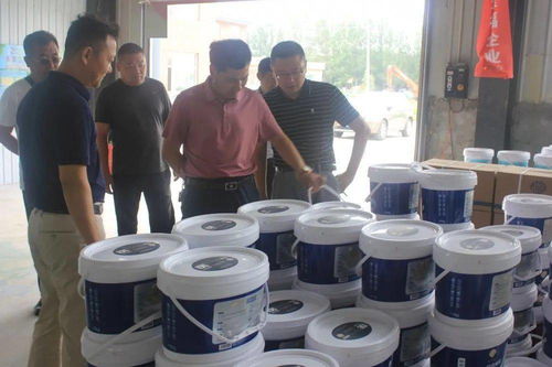 金保姆貝殼粉品牌成長大事記 七月至八月的家政新篇章